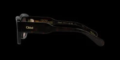 Chloe CH0220S 002 Solglasögon