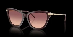 Emporio Armani 0EA4251 62658D Solglasögon