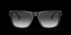 Emporio Armani 0EA4163 58758G Solglasögon