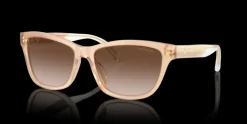 Emporio Armani 0EA4227U 609813 Solglasögon