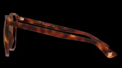 Gucci GG0024S 2 Solglasögon