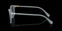 Swarovski 0SK2002 1035 Glasögonbåge