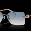 Tiffany & Co. 0TF3088 610516 Solglasögon