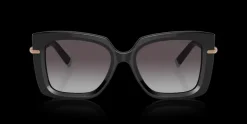 Tiffany & Co. 0TF4199 80013C Solglasögon