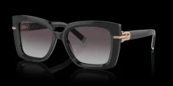 Tiffany & Co. 0TF4199 80013C Solglasögon