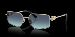 Tiffany & Co. 0TF3111 62029S Solglasögen
