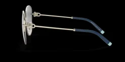 Tiffany & Co. 0TF3082 61691U Solglasögon