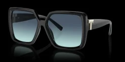 Tiffany & Co. 0TF4206U 80019S Solglasögon